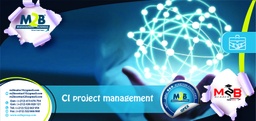 [SFO_B_OPEX_CI_IP_210] CI Project management