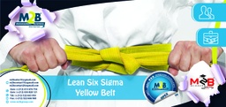 [SFO_B_OPEX_PG_LS_200] Lean Six Sigma Yellow Belt